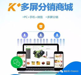 2017年電子商務(wù)平臺(tái)服務(wù) 那些牛氣沖天的任性革新